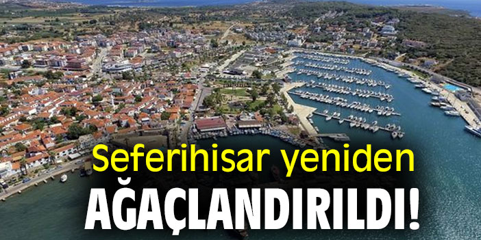 Seferihisar yeniden ağaçlandırıldı!