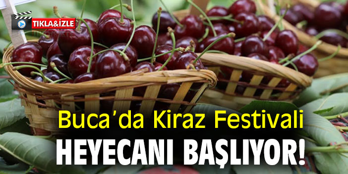 Buca’da Kiraz Festivali heyecanı başlıyor!