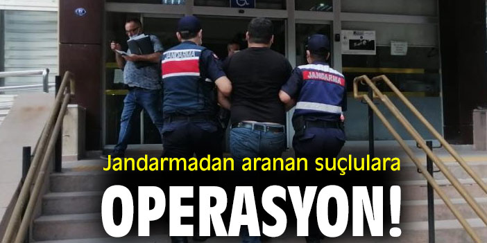 Jandarmadan aranan suçlulara operasyon!
