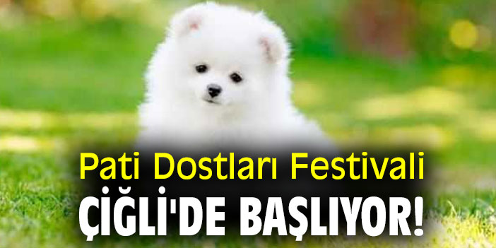 Pati Dostları Festivali Çiğli'de başlıyor!
