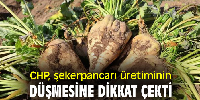 CHP, şeker pancarı üretiminin düşmesine dikkat çekti