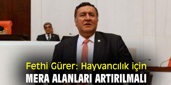 Fethi Gürer: Hayvancılık için mera alanları artırılmalı