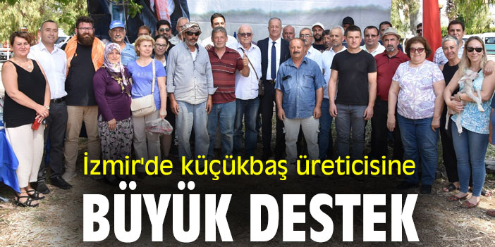 İzmir'de küçükbaş üreticisine büyük destek