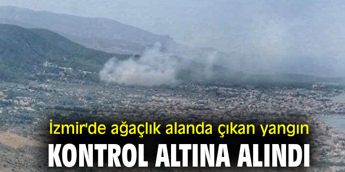 İzmir'de ağaçlık alanda çıkan yangın kontrol altına alındı