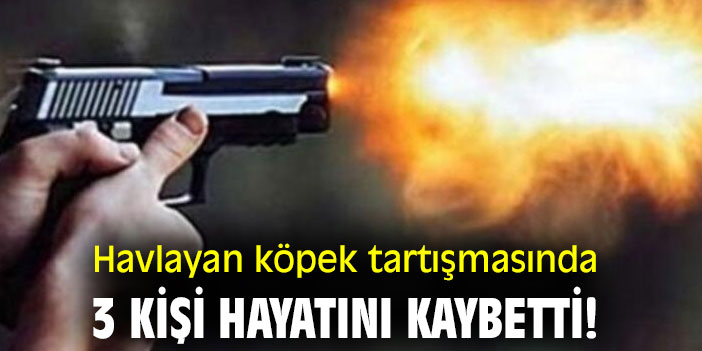 Havlayan köpek tartışmasında 3 kişi hayatını kaybetti!