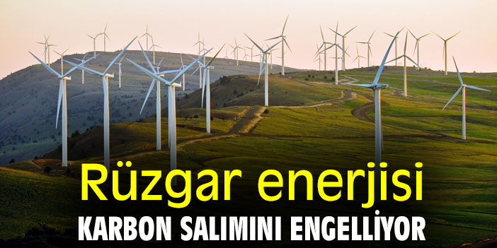 Rüzgar enerjisi, karbon salımını engelliyor