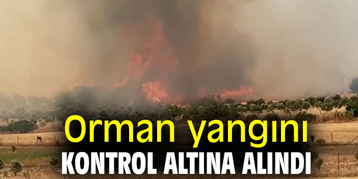 Orman yangını kontrol altına alındı
