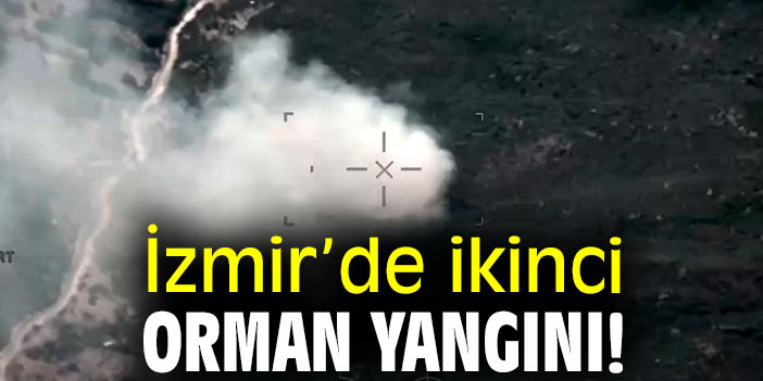 İzmir’de ikinci orman yangını!