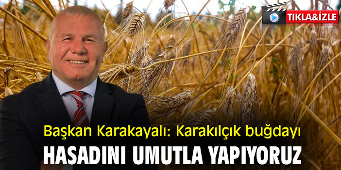 Başkan Karakayalı: Karakılçık buğdayı hasadını umutla yapıyoruz