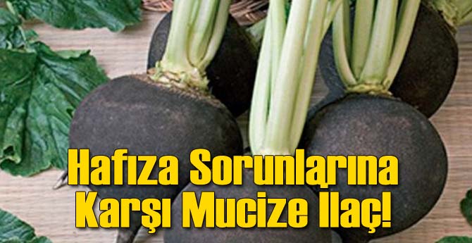 Unutkanlığa Karşı Birebir