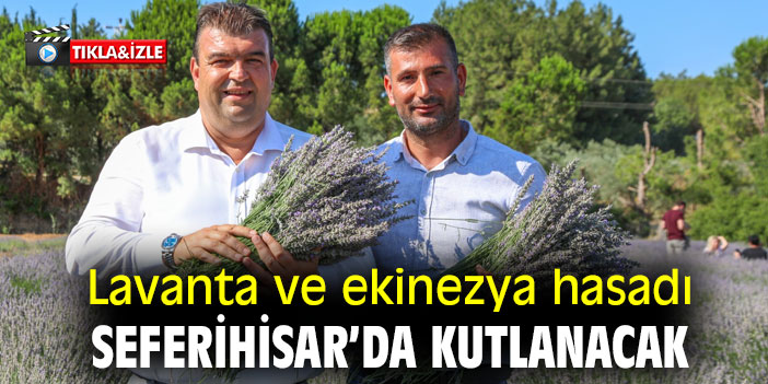 Lavanta ve ekinezya hasadı Seferihisar’da kutlanacak