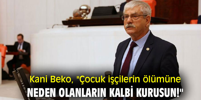 Kani Beko, "Her yıl 100'e yakın çocuk iş cinayetlerinde ölüyor"