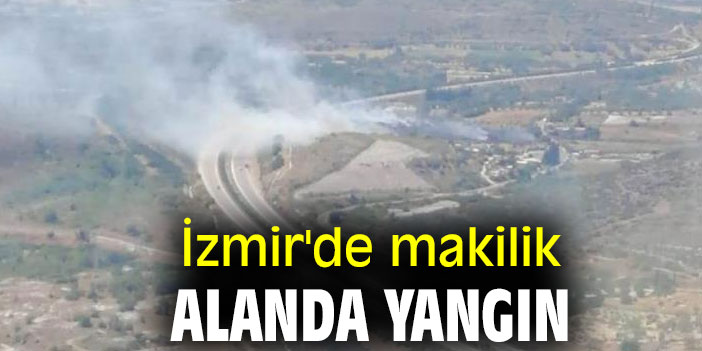 İzmir'de makilik alanda yangın