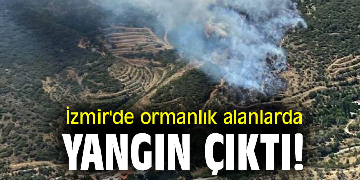 İzmir'de ormanlık alanlarda yangın çıktı!