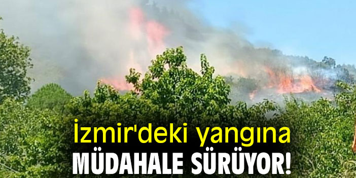 İzmir'deki yangına müdahale sürüyor!