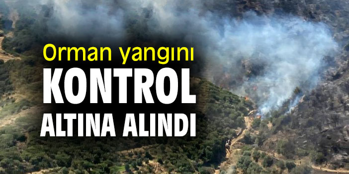 Orman yangını kontrol altına alındı