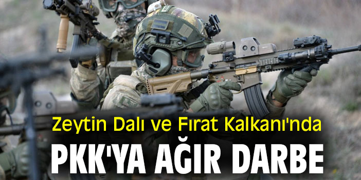 Zeytin Dalı ve Fırat Kalkanı'nda PKK'ya ağır darbe