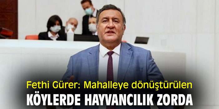 Fethi Gürer: Mahalleye dönüştürülen köylerde hayvancılık zorda
