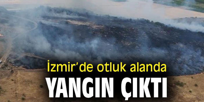 İzmir’de otluk alanda yangın çıktı