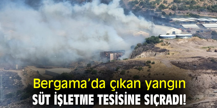 Bergama’da çıkan yangın, süt işletme tesisine sıçradı!