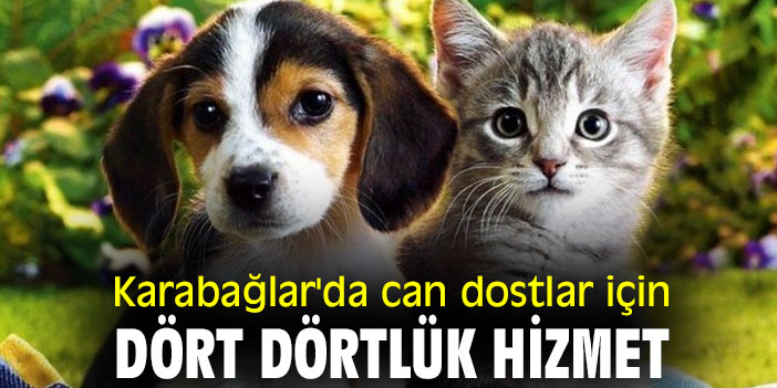 Karabağlar'da can dostlar için dört dörtlük hizmet