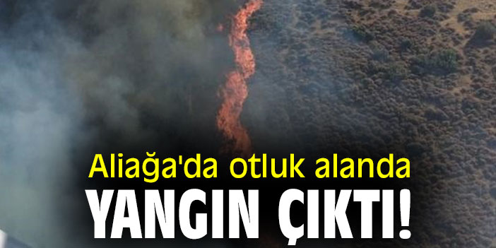 Aliağa'da otluk alanda yangın çıktı!