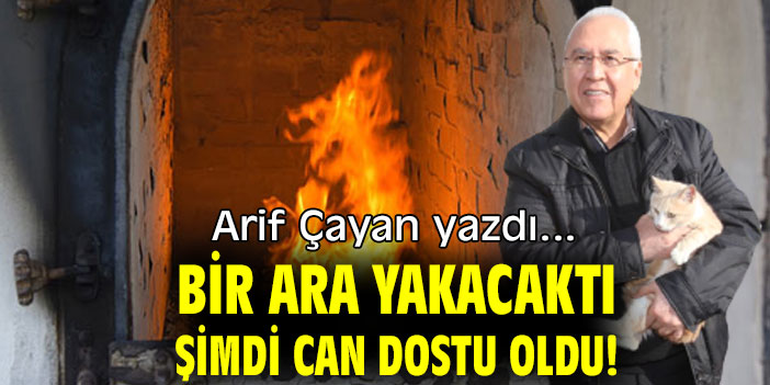 BİR ARA YAKACAKTI, ŞİMDİ CAN DOSTU OLDU!