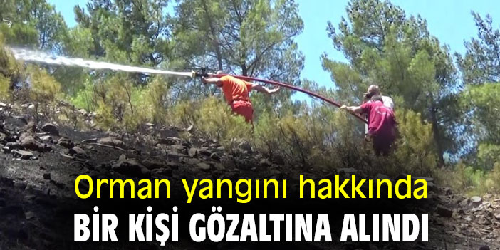 Orman yangını hakkında bir kişi gözaltına alındı