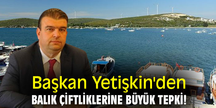 Başkan Yetişkin'den balık çiftliklerine büyük tepki!