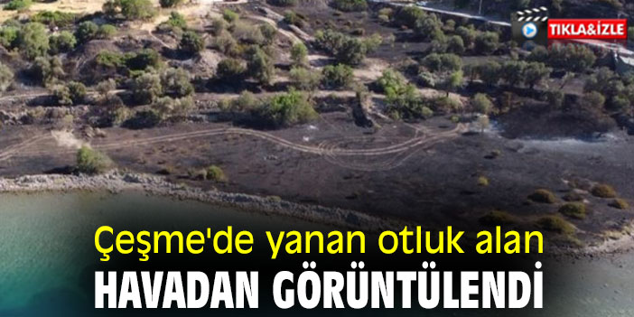 Çeşme'de yanan otluk alan, havadan görüntülendi