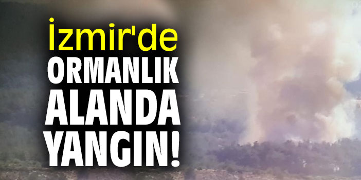 İzmir'de ormanlık alanda yangın