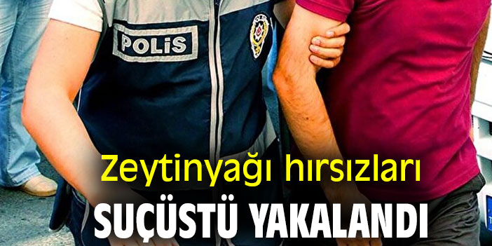 Zeytinyağı hırsızları suçüstü yakalandı