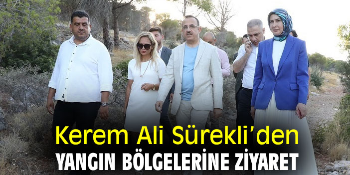 Kerem Ali Sürekli’den yangın bölgelerine ziyaret