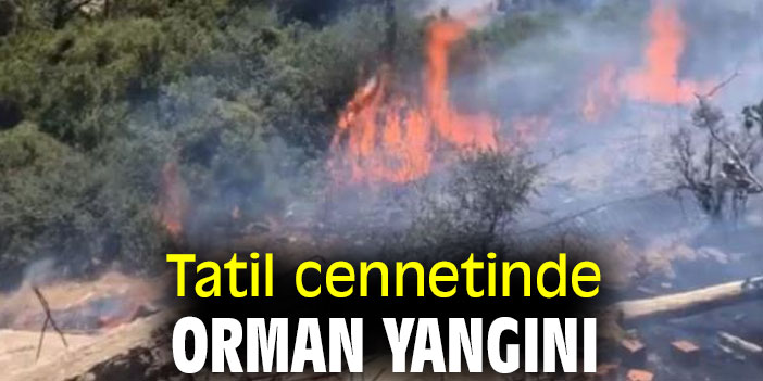 Tatil cennetinde orman yangını