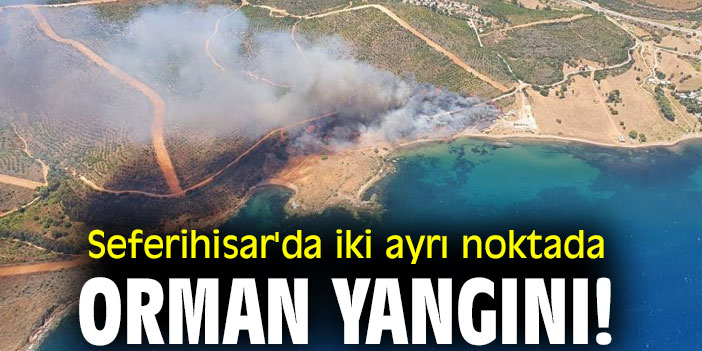 Seferihisar'da iki ayrı noktada orman yangını!