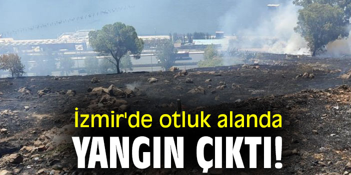 İzmir'de otluk alanda yangın çıktı!