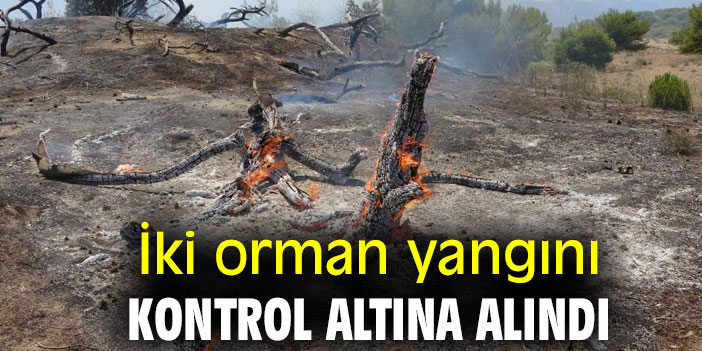 İki orman yangını kontrol altına alındı