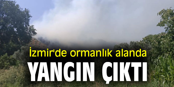 İzmir'de ormanlık alanda yangın çıktı