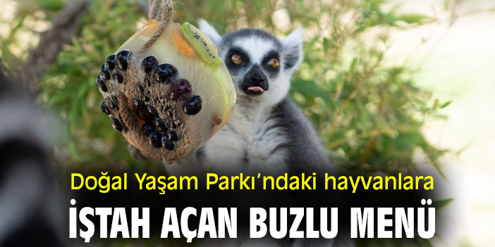 Doğal Yaşam Parkı’ndaki hayvanlara iştah açan buzlu menü
