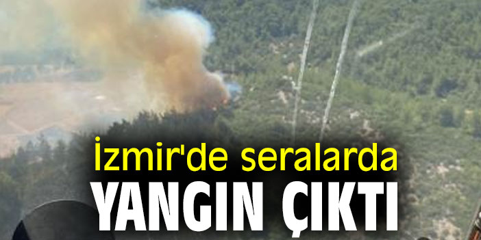 İzmir'de seralarda yangın çıktı