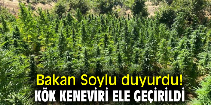 Bakan Soylu duyurdu! Kök keneviri ele geçirildi