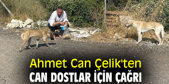 Ahmet Can Çelik'ten can dostlar için çağrı
