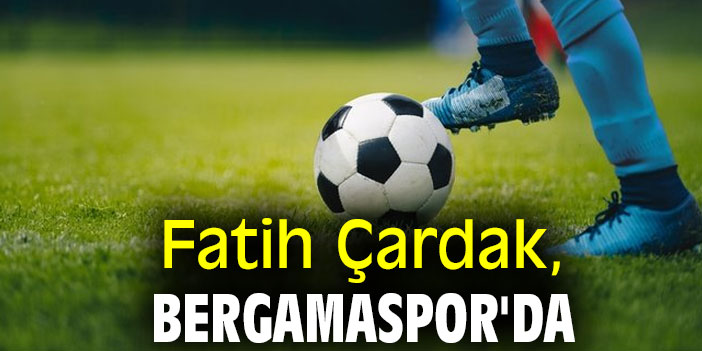 Fatih Çardak, Bergamaspor'da