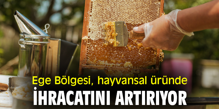 Ege Bölgesi, hayvansal üründe ihracatını artırıyor
