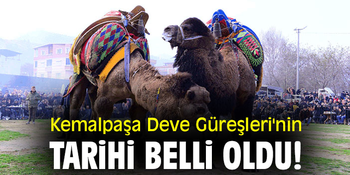 Kemalpaşa Deve Güreşleri'nin tarihi belli oldu!
