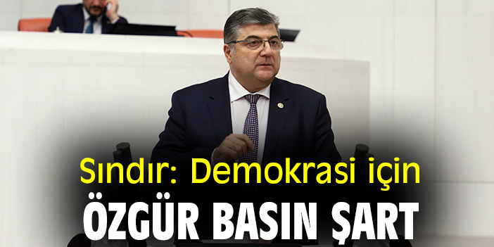 Sındır: Demokrasi için özgür basın şart