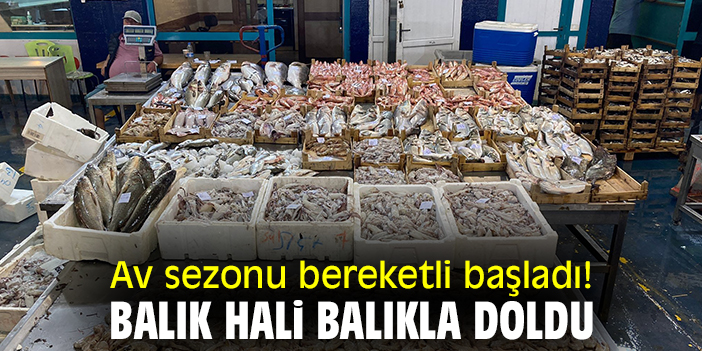 Av sezonu bereketli başladı! Balık hali balıkla doldu