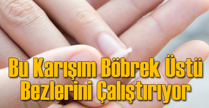 Bu Karışım Böbrek Üstü Bezlerini Çalıştırıyor