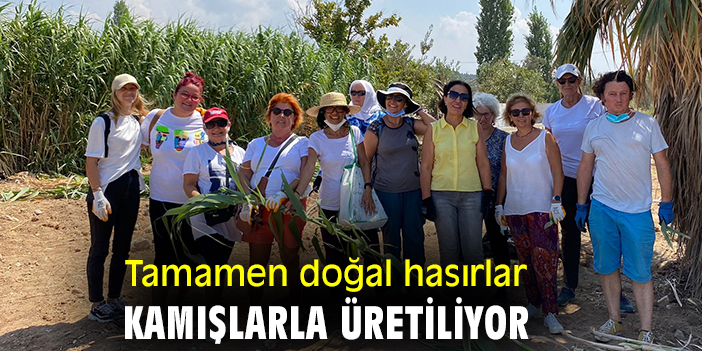 Tamamen doğal hasırlar kamışlarla üretiliyor