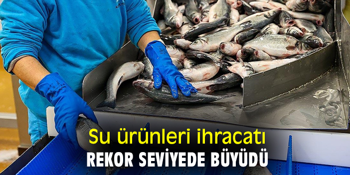 Su ürünleri ihracatı rekor seviyede büyüdü